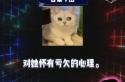 娱乐吃瓜论坛,揭秘明星幕后故事
